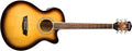 Washburn EA15ATB Festival Series Acoustic-Electric Guitar