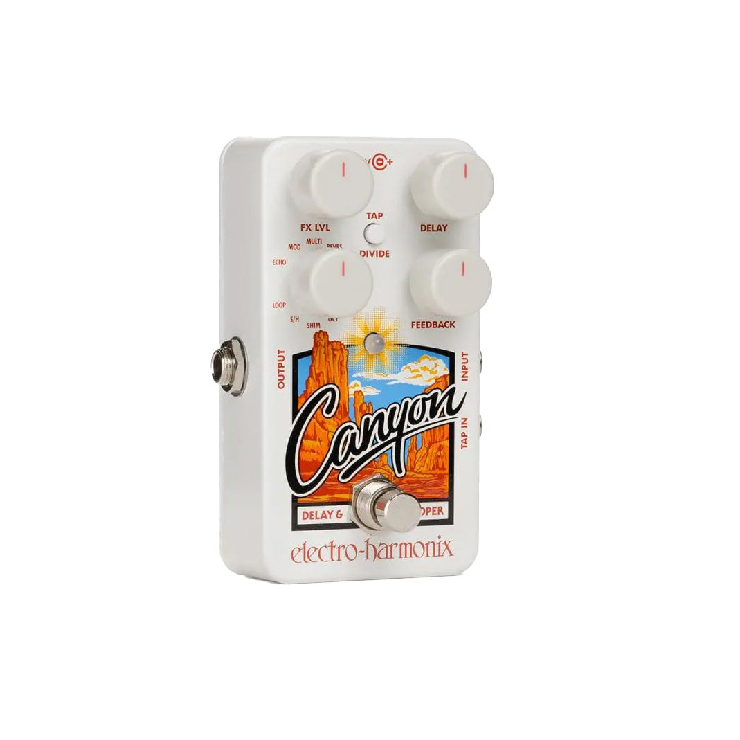 Ehx Canyon Delay/looper