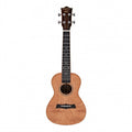 Amahi Snail SUC-M1 Mahogany Gloss Concert Ukulele