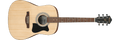 Ibanez IJV50 Drdnght Acstc Jampack