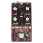 Electronic Audio Experiments Mirror House V2