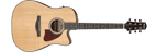 Ibanez AAD51CE Advanced Acoustic Acoustic-Electric Guitar (Natural)