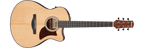 Ibanez AAM50CE Advanced Auditorium Acoustic-Electric Guitar - Open Pore Natural