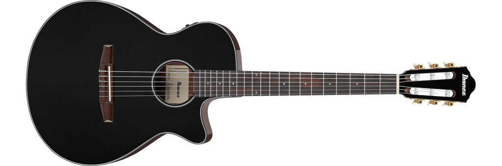 Ibanez AEG50N Nylon-String Acoustic-Electric Guitar - Black High Gloss