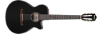 Ibanez AEG50N Nylon-String Acoustic-Electric Guitar - Black High Gloss