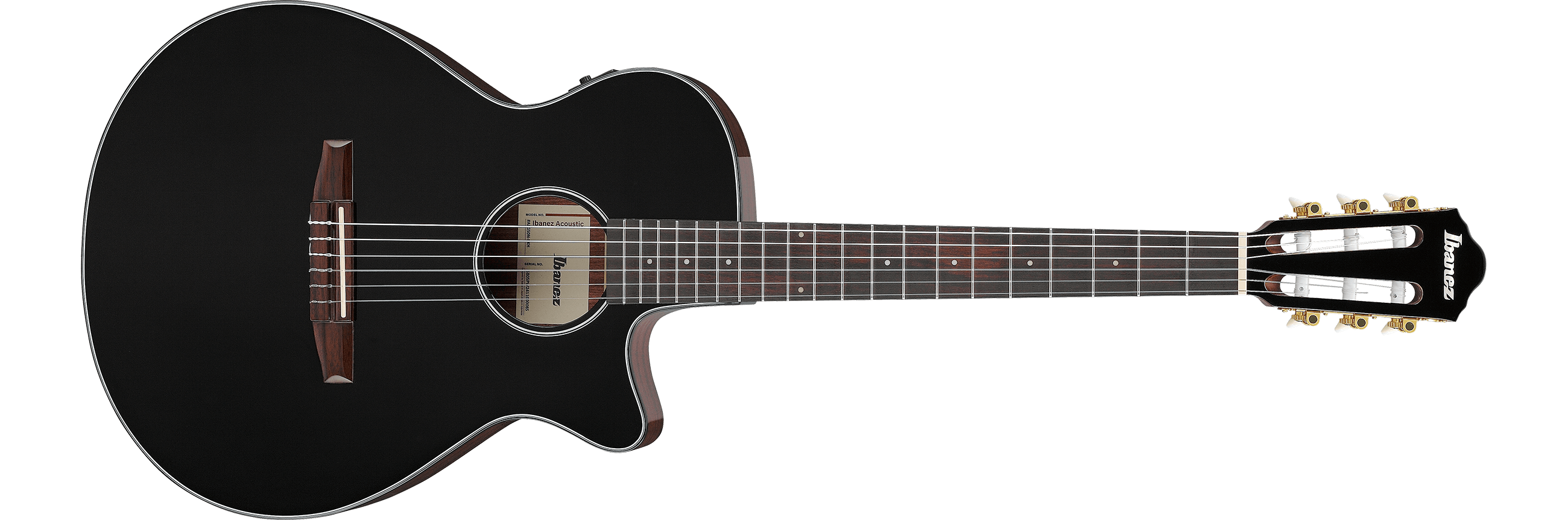 Ibanez AEG50N Nylon-String Acoustic-Electric Guitar - Black High Gloss