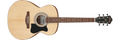 Ibanez IJVC50 Jampack Grand Concert Acoustic Guitar Package (Open Pore Natural)
