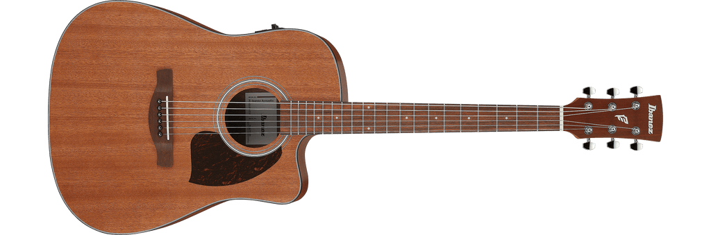 Ibanez PF54CE Dreadnought Acoustic-Electric Guitar - Open Pore Natural