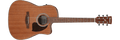 Ibanez PF54CE Dreadnought Acoustic-Electric Guitar - Open Pore Natural