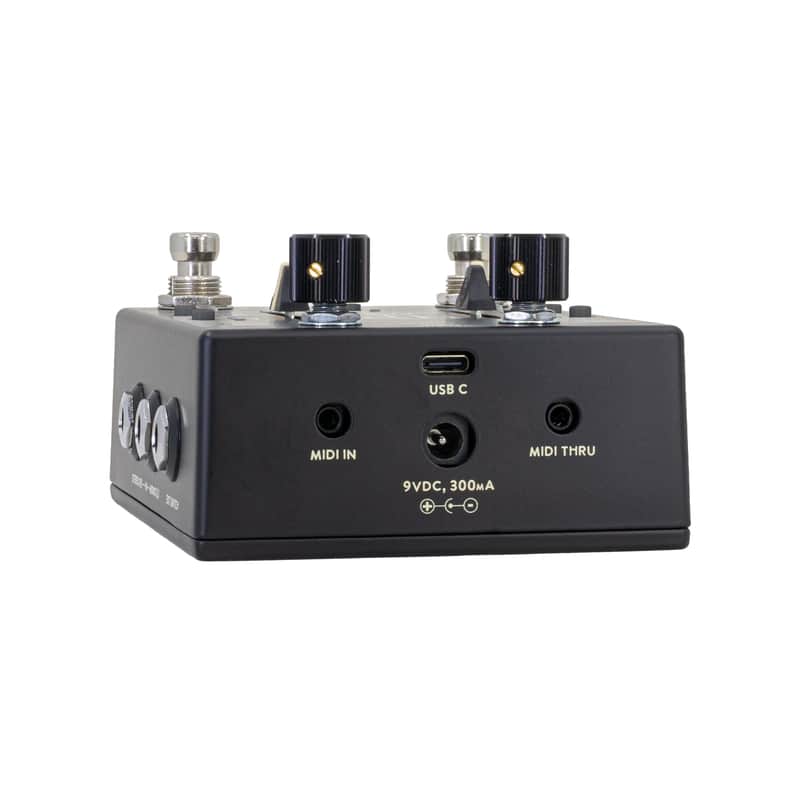 Walrus Audio Xero Polylooper Black